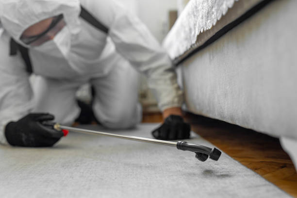 Professional Termite Control technician working in Niverville, NY