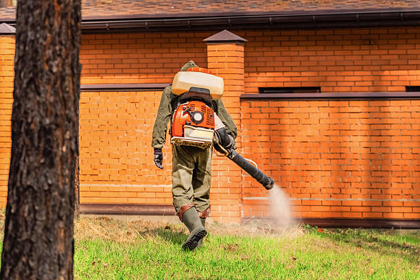 Trusted Termite Control service in Niverville, NY - Nex Pest Control